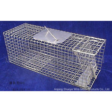 Folded Metal Wild Cat Catcher Cage for Trapping